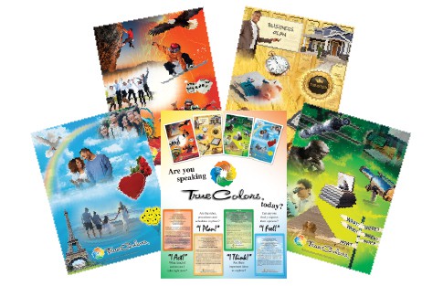 Poster Set (4 Cards + 1) 18” X 24”